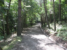 ひんなもり台ふれあいの森クロスカントリー